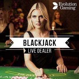 Blackjack Casino Game