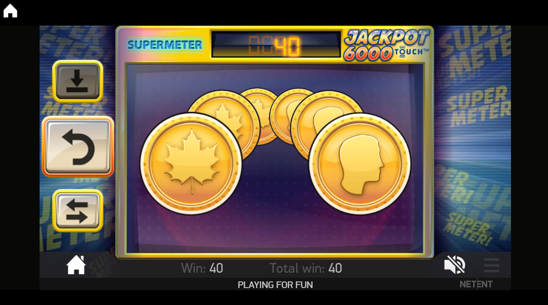 Picture of the heads or tail gambling feature on Jackpot 6000